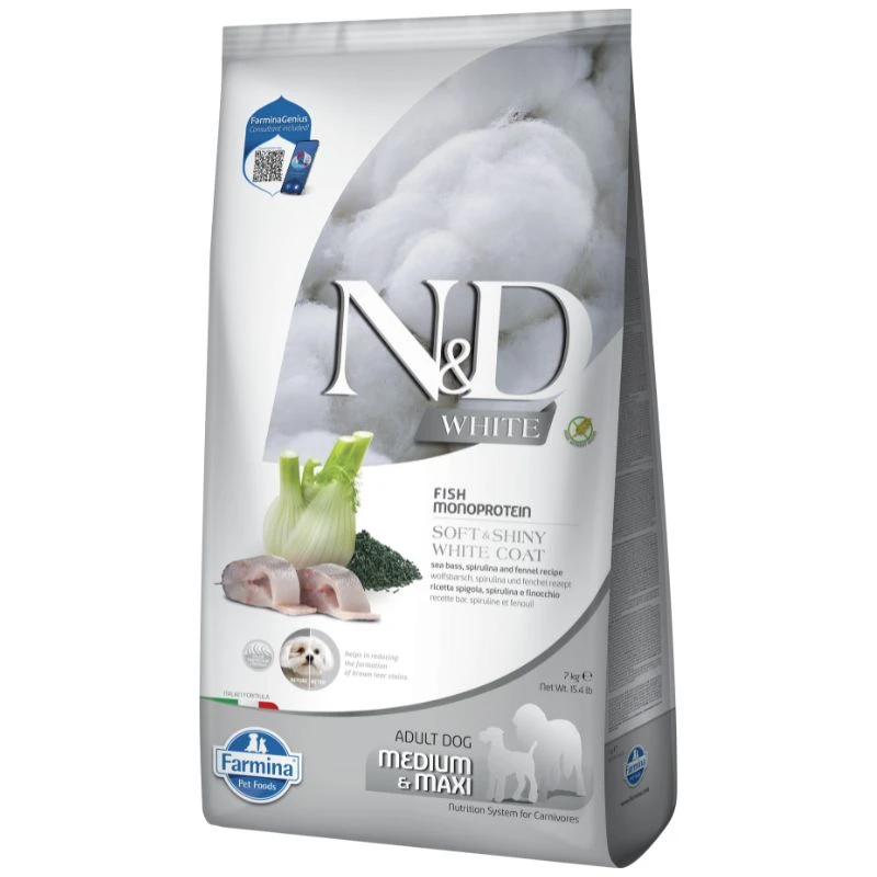 ND גורים כלב לבן 1.5 ק״ג