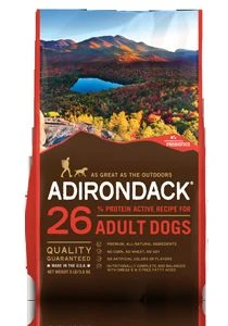 adirondack 13.6